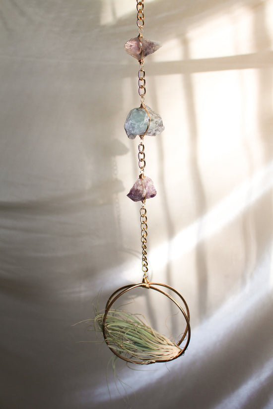 Fairy's Rest Air Plant Hanger