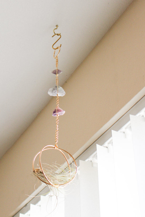 Fairy's Rest Air Plant Hanger