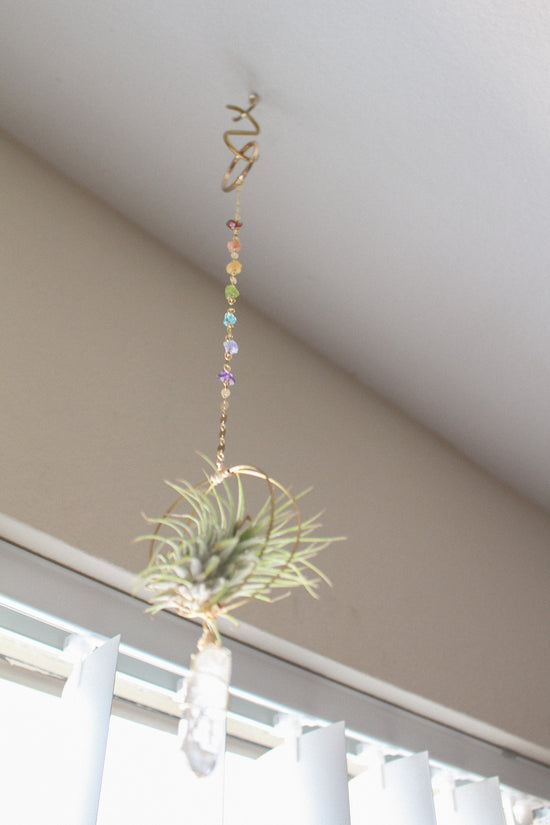 Somewhere Over the Rainbow Air Plant Hanger