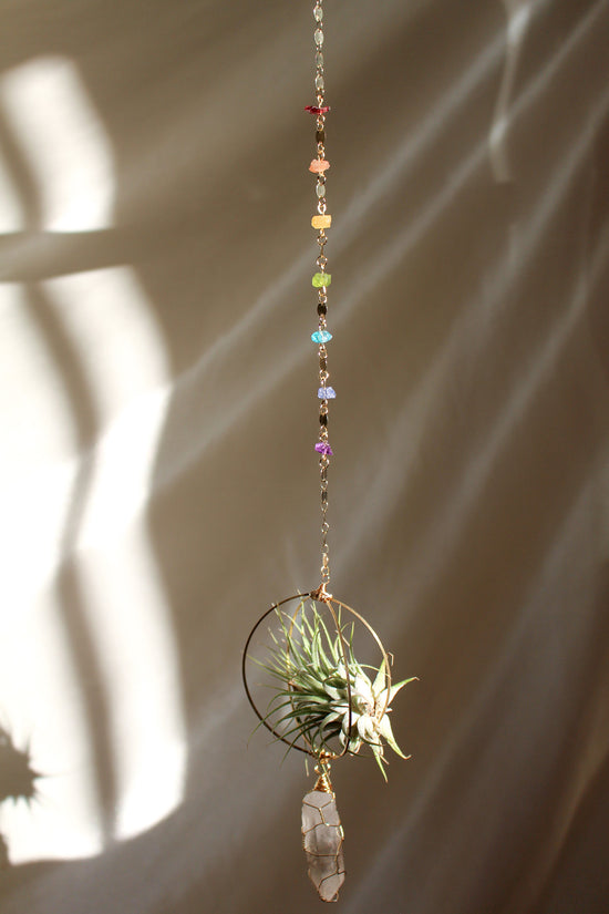 Somewhere Over the Rainbow Air Plant Hanger