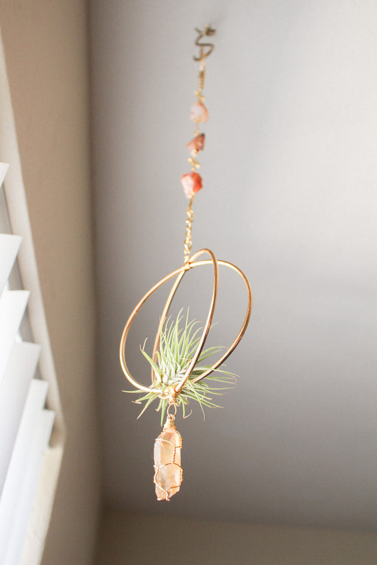 Sunny Daze Air Plant Hanger