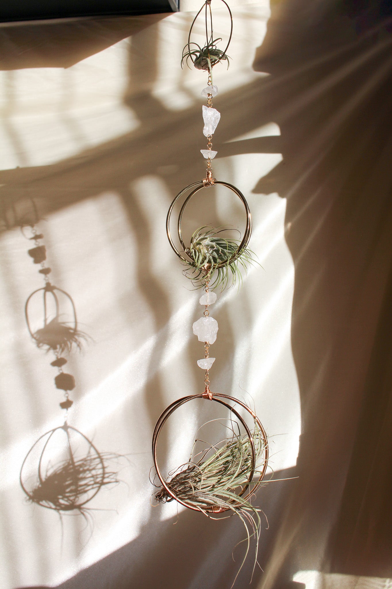 Triple Entendre Air Plant Hanger